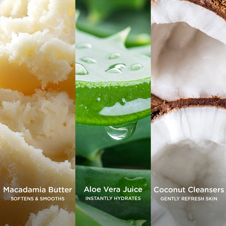 Side-by-side close-up images of natural skincare ingredients: creamy macadamia butter labelled 'Macadamia Butter – Softens & Smooths,' fresh aloe vera leaf with droplets labelled 'Aloe Vera Juice – Instantly Hydrates,' and halved coconut labelled 'Coconut Cleansers – Gently Refresh Skin.